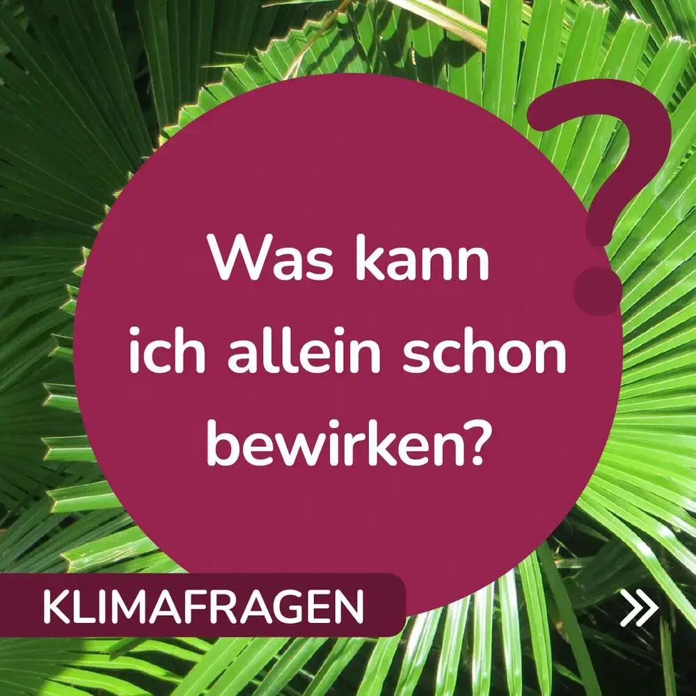 Was kann ich allein schon bewirken?